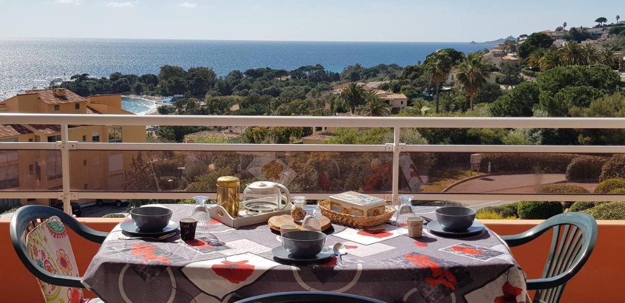 T1 Vue Mer Bord De Mer Ajaccio Аяччо Екстер'єр фото