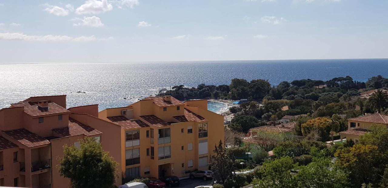 T1 Vue Mer Bord De Mer Ajaccio Аяччо Екстер'єр фото